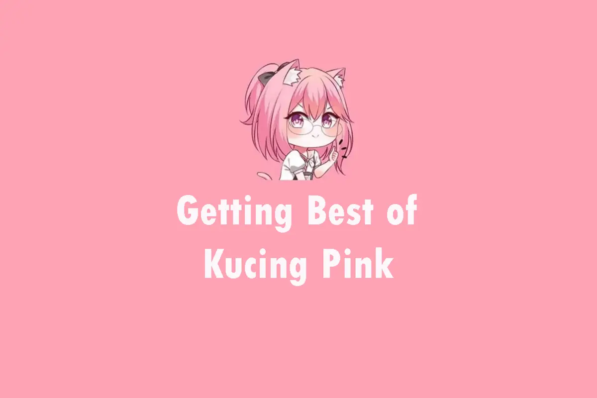 getting_best_of_kucing_pink